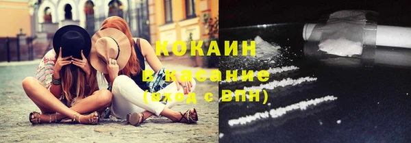 первитин Богданович