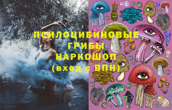 крисы Бугульма