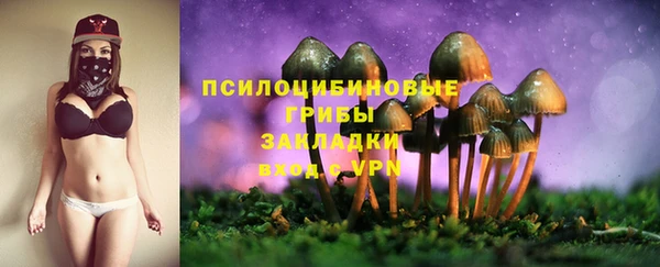 первитин Богданович