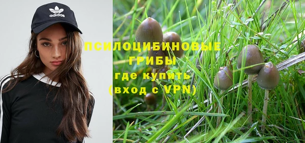 первитин Богданович