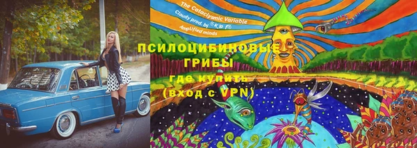 гашишное масло Богородск