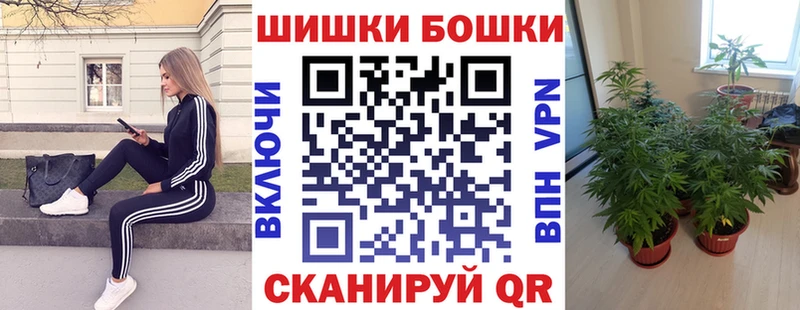 Каннабис ГИДРОПОН  блэк спрут зеркало  Кедровый  что такое  